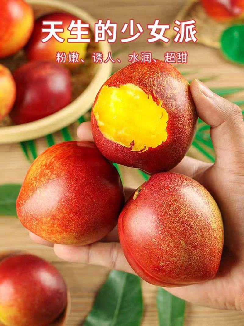 黄油桃产地看货论价保质保量欢迎订购