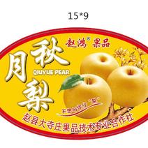 水果标签梨苹果葡萄哈密瓜商标不干胶哈密瓜吊牌水果贴纸