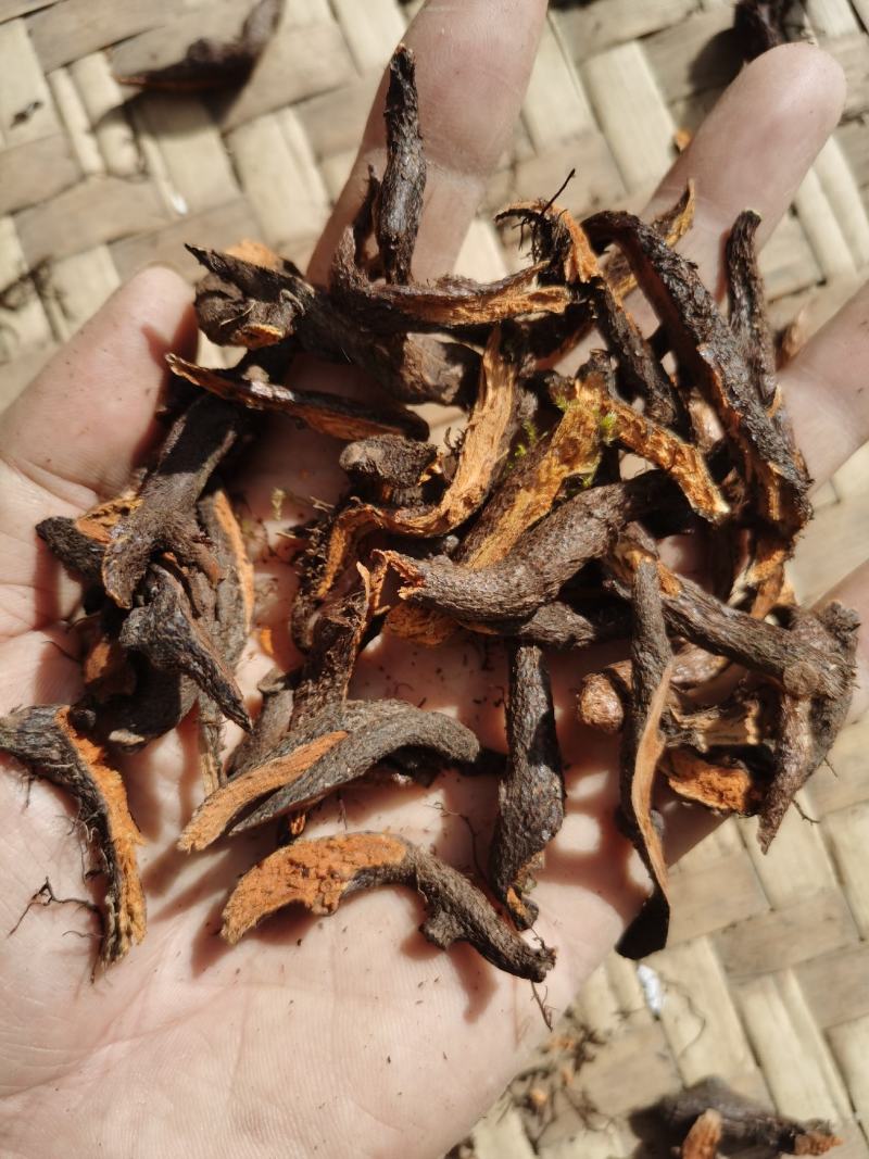 骨碎补干货包邮，，颜色好，一分钱，一分货，无硫
