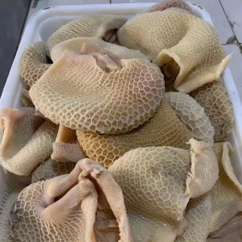 牛金钱肚