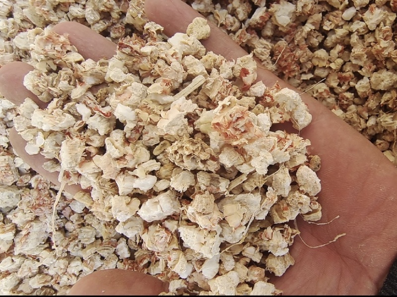 河北石家庄热卖玉米芯食用菌使用
