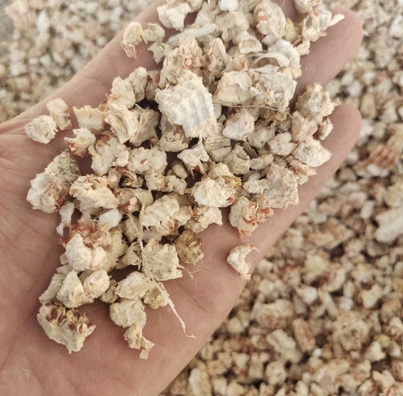 河北石家庄热卖玉米芯食用菌使用