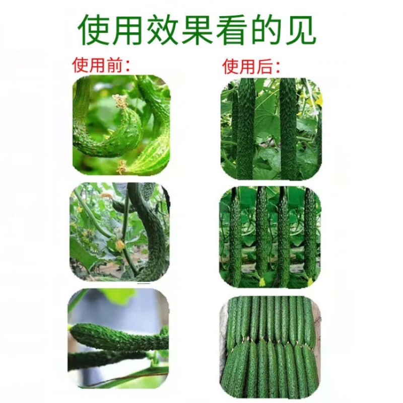 黄瓜苦瓜丝瓜专用拉长绿直增瓜素增产增绿抗病顺直膨大素