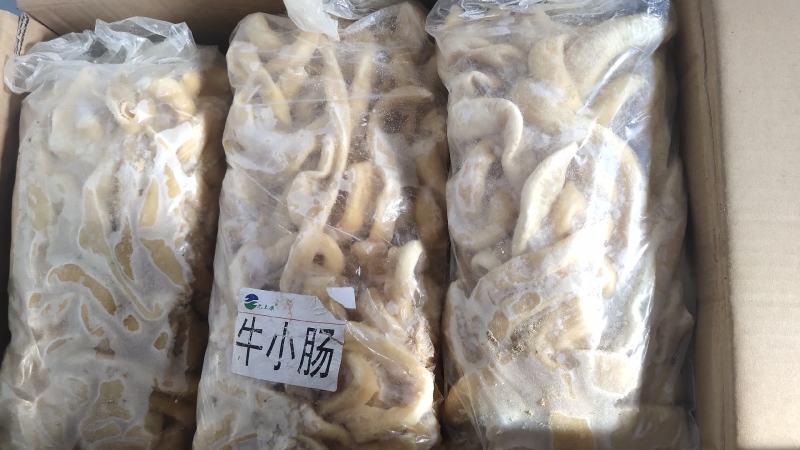 【牛小肠】黄牛的小肠！没抛带油紧水的！照片视频实拍