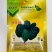 鼎优D18菠菜种子圆叶墨绿色红根菠菜品种种子