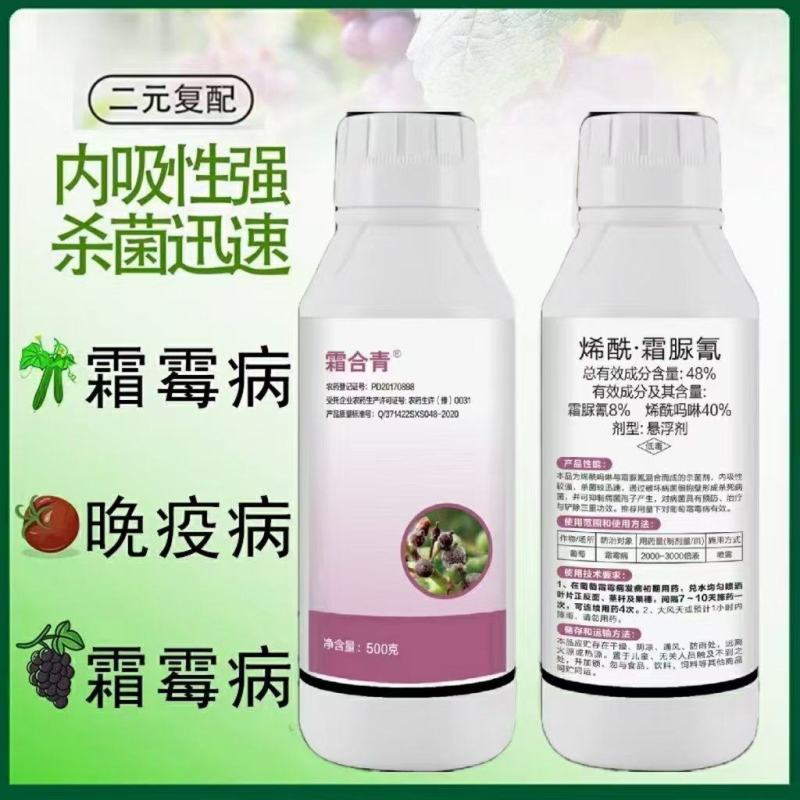 48%烯吗酰啉·霜脲氰保加护治疗
