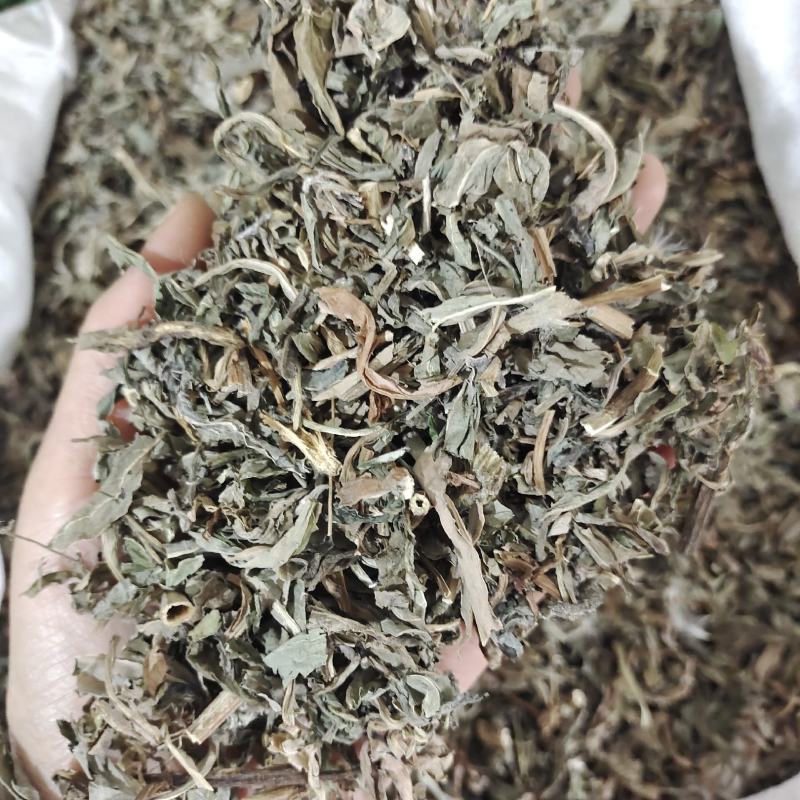 败酱草，无硫过筛产地货源，保质保量，现货，批发各种中药材