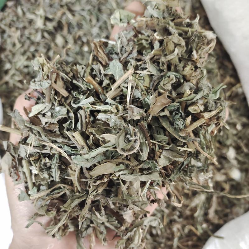 败酱草，无硫过筛产地货源，保质保量，现货，批发各种中药材