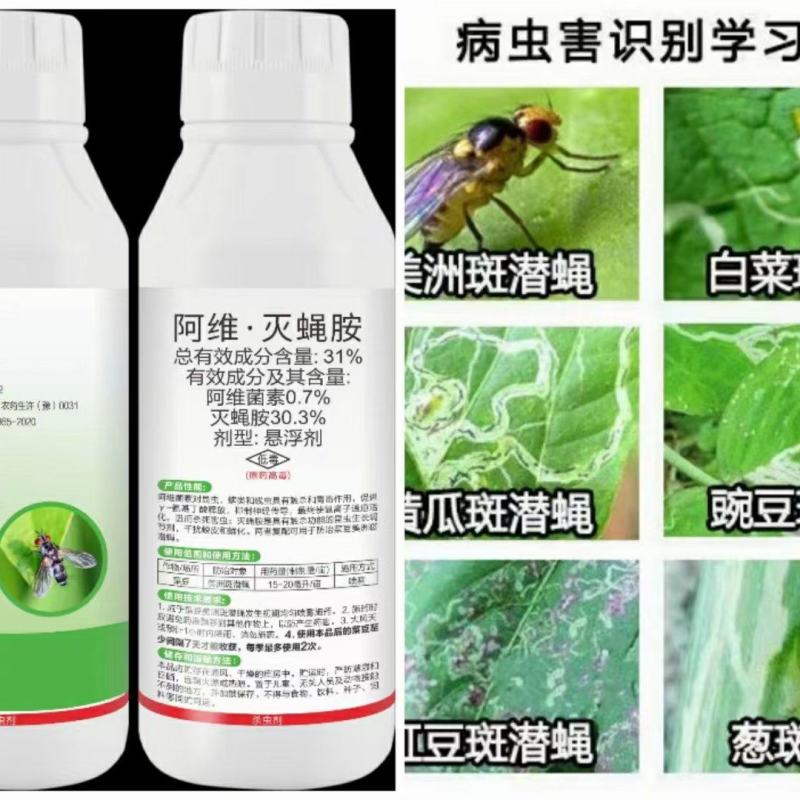 31%阿维灭蝇胺悬浮剂防治对象：美洲斑潜蝇，稻潜叶蝇