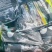 复合微生物菌肥，疏松土壤抗盐碱性抗病抗旱抗逆增加产量