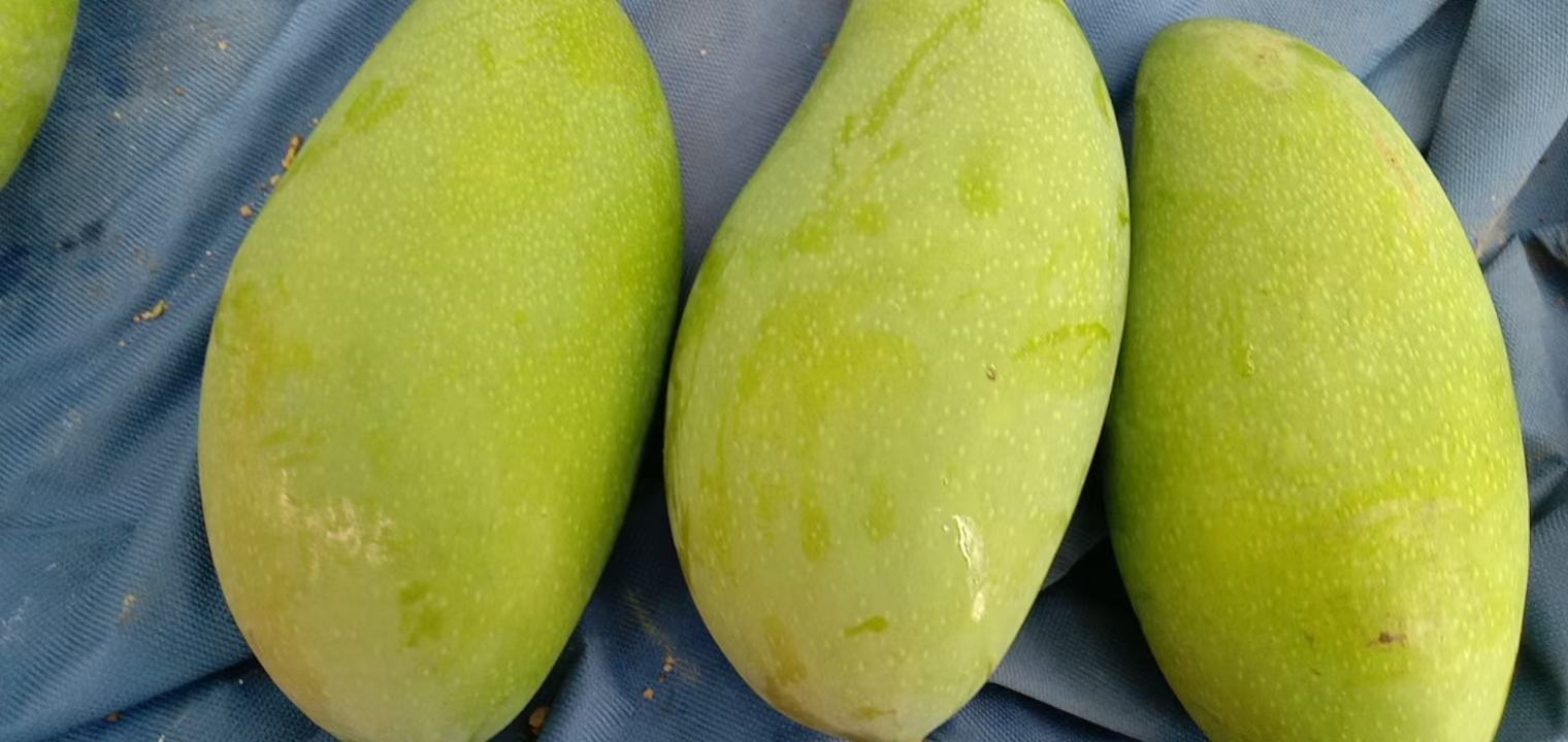 大青芒与其他水果拼盘对比图