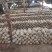 山东冠县优质灵芝菌包菌棒食用菌棒基地常年供应