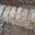 山东冠县优质灵芝菌包菌棒食用菌棒基地常年供应