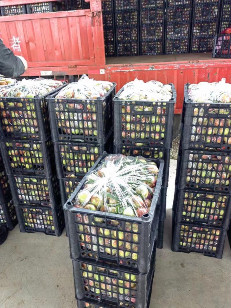湖北襄阳油桃大量现货供应中，品种齐全，价格实惠