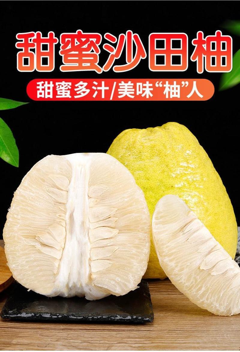 沙田柚正宗广东梅州沙田柚纯甜白肉水果批发价
