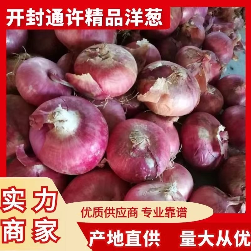 开封通许二红洋葱，紫皮洋葱，大量供应中，产地一手货源，