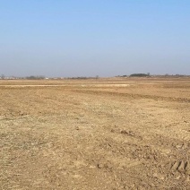 岀租大量土地从400到1100都有现地。