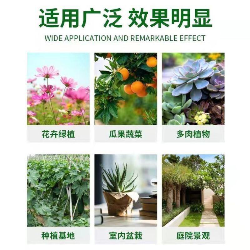 碳基生物有机肥疏松土壤，解磷解钾促生长提品质，