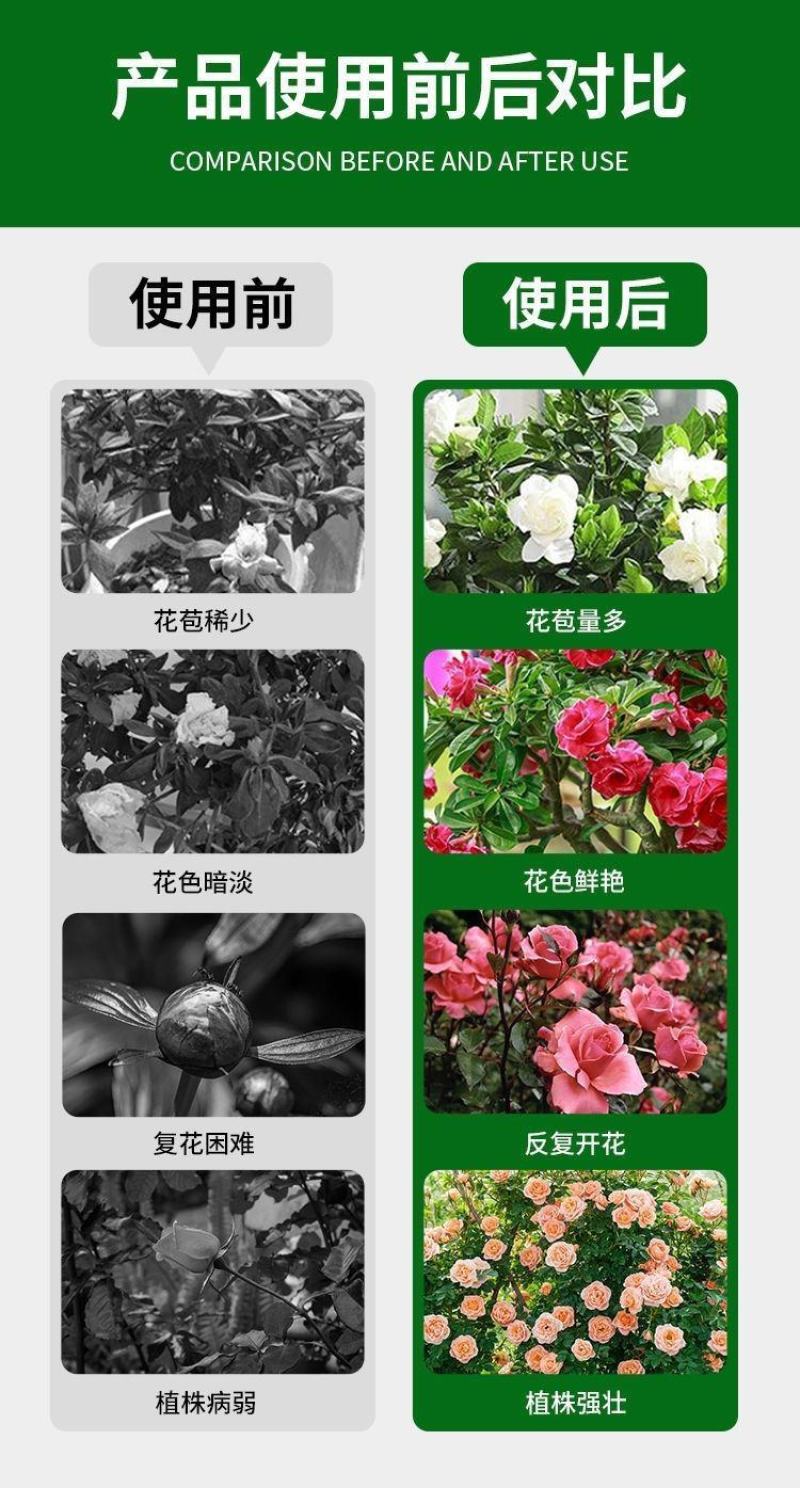 碳基生物有机肥疏松土壤，解磷解钾促生长提品质，