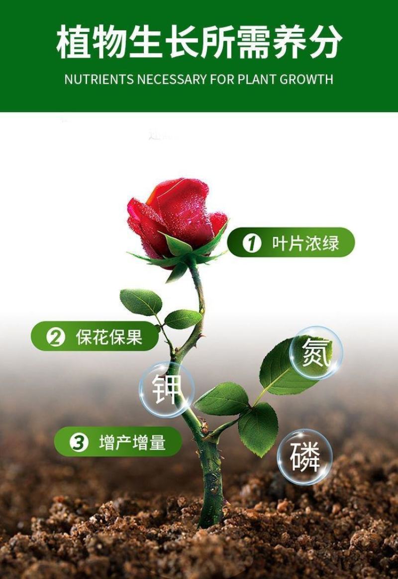 碳基生物有机肥疏松土壤，解磷解钾促生长提品质，