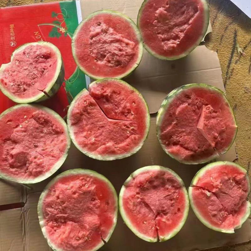 精品美都西瓜，包熟包甜，产地直发，代发全国