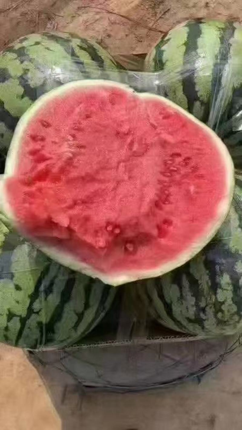 精品美都西瓜，包熟包甜，产地直发，代发全国