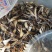 蚯蚓干广地龙干货全开干净，无泥