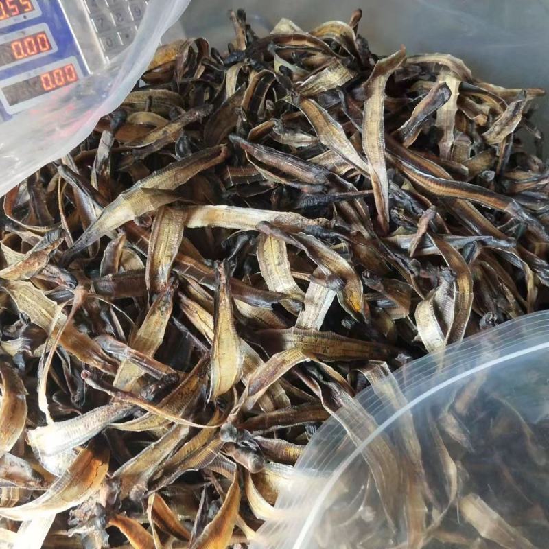 蚯蚓干广地龙干货全开干净，无泥