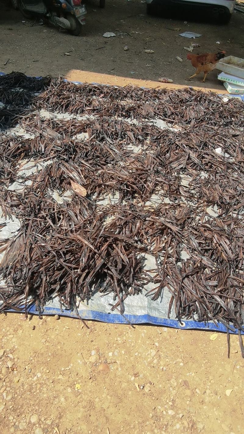 蚯蚓干广地龙干货全开干净，无泥