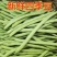 四季豆精品白花四季豆青无筋豆视频看货打款发货