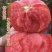 精品西红柿湖北西红市翻茄可视频看货保质保量