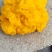 金耳菌