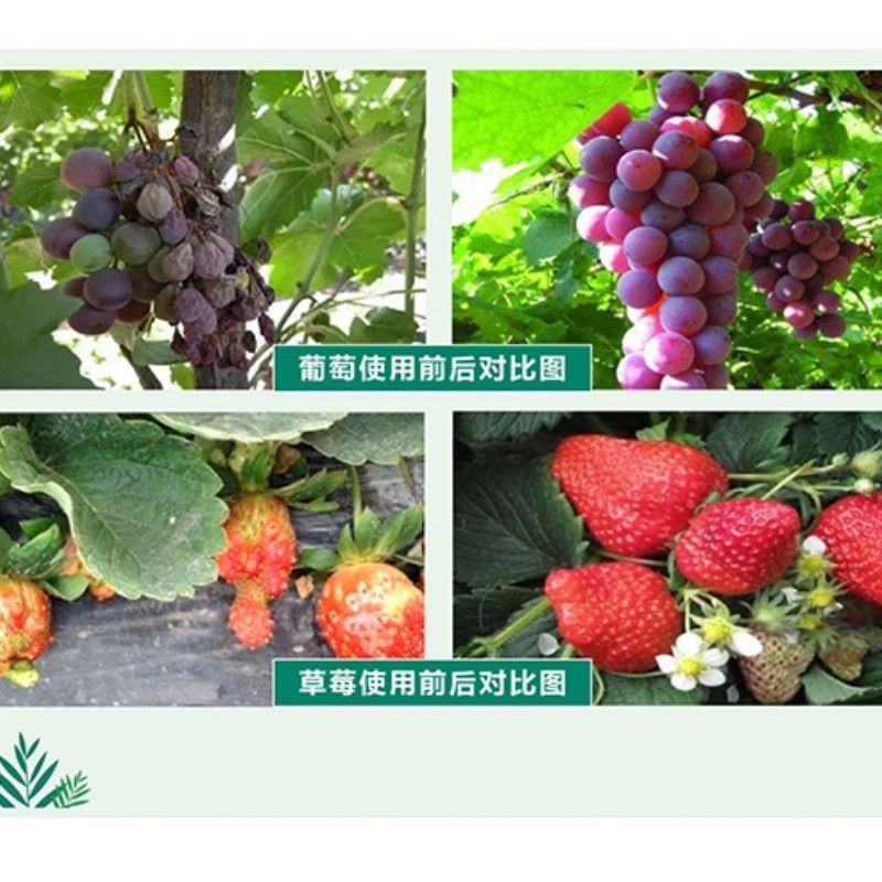 海藻菌部落液体肥，保花保果易吸收无残留生根快壮根