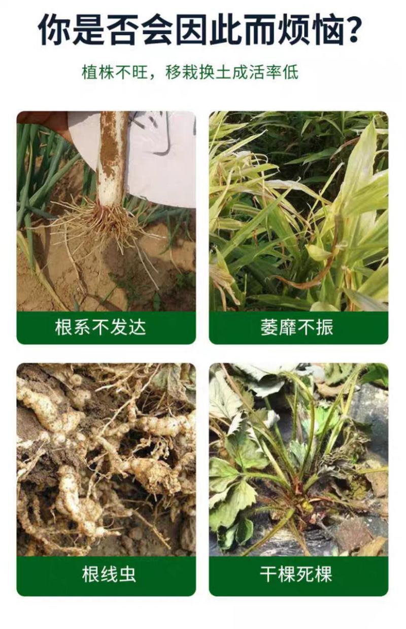 多生根生物菌肥改良土壤活化生根，叶绿增厚菌肥双效