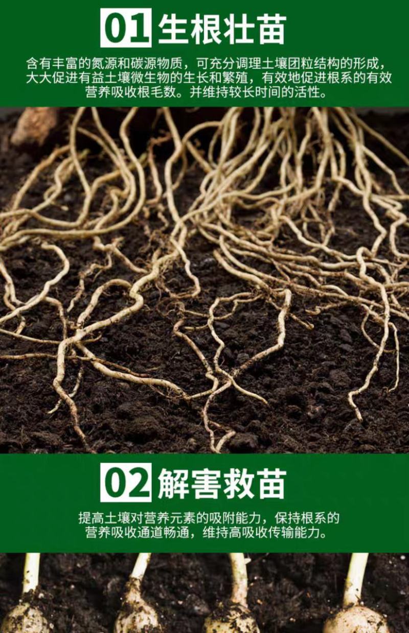 多生根生物菌肥改良土壤活化生根，叶绿增厚菌肥双效