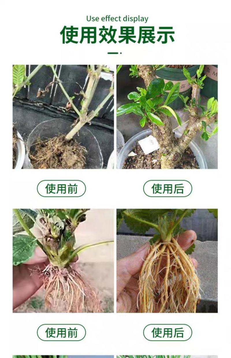 多生根生物菌肥改良土壤活化生根，叶绿增厚菌肥双效