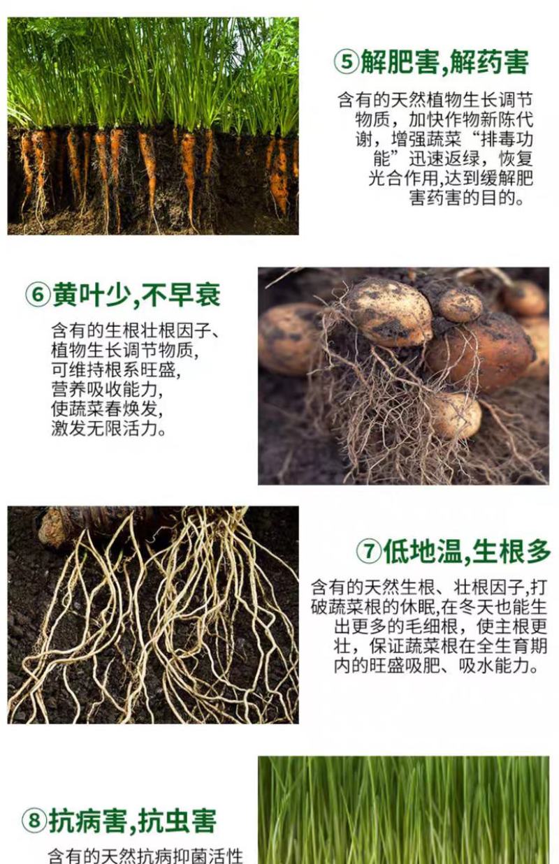 多生根生物菌肥改良土壤活化生根，叶绿增厚菌肥双效
