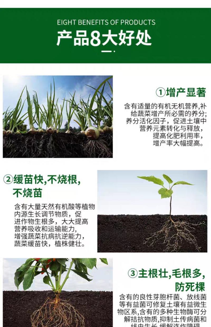 多生根生物菌肥改良土壤活化生根，叶绿增厚菌肥双效
