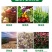 多生根生物菌肥改良土壤活化生根，叶绿增厚菌肥双效