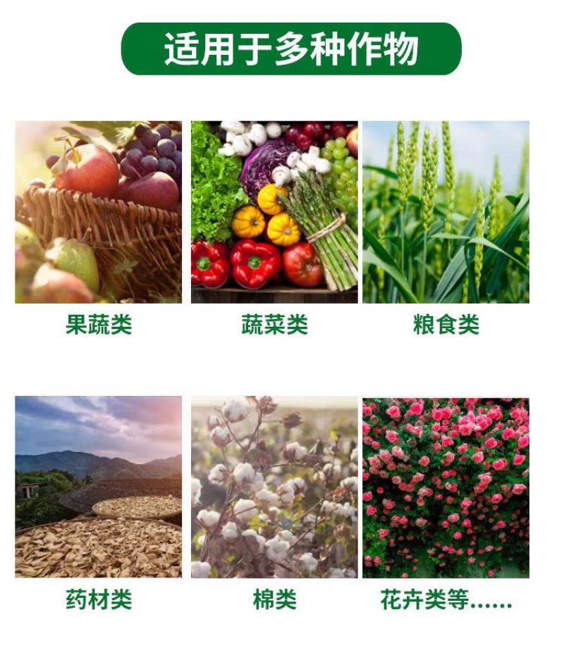多生根生物菌肥改良土壤活化生根，叶绿增厚菌肥双效