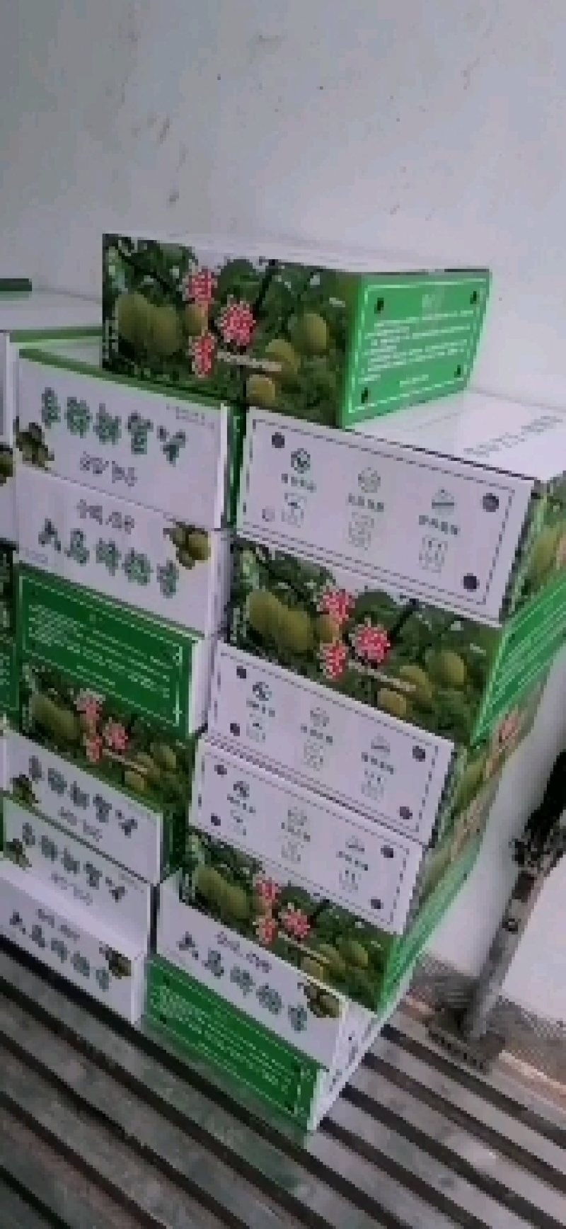 六马蜂糖李，纯甜，脆爽