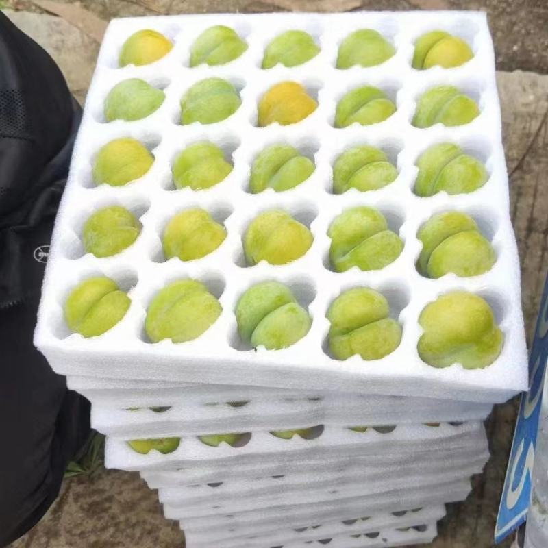 六马蜂糖李，纯甜，脆爽