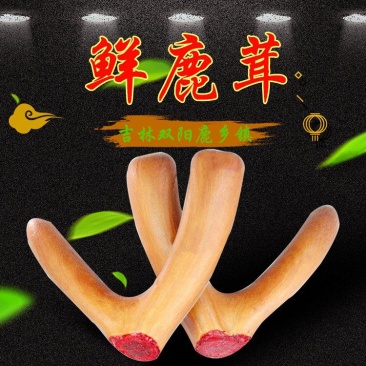 吉林长春双阳鹿乡鲜鹿茸二杠产地直发视频选货