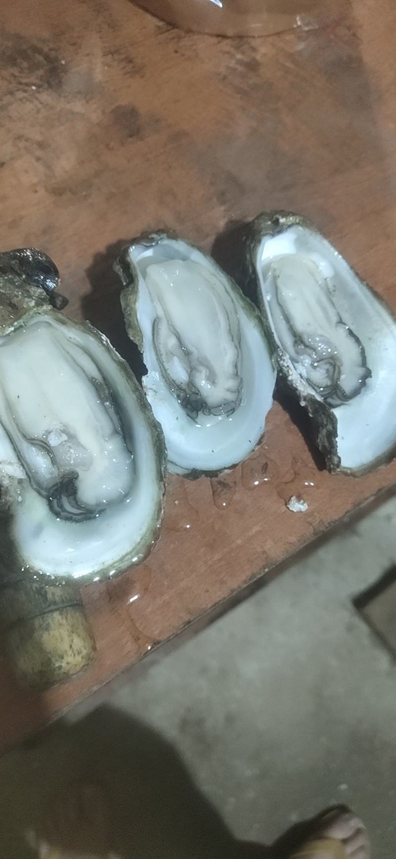 钦州生蚝牡蛎小统货