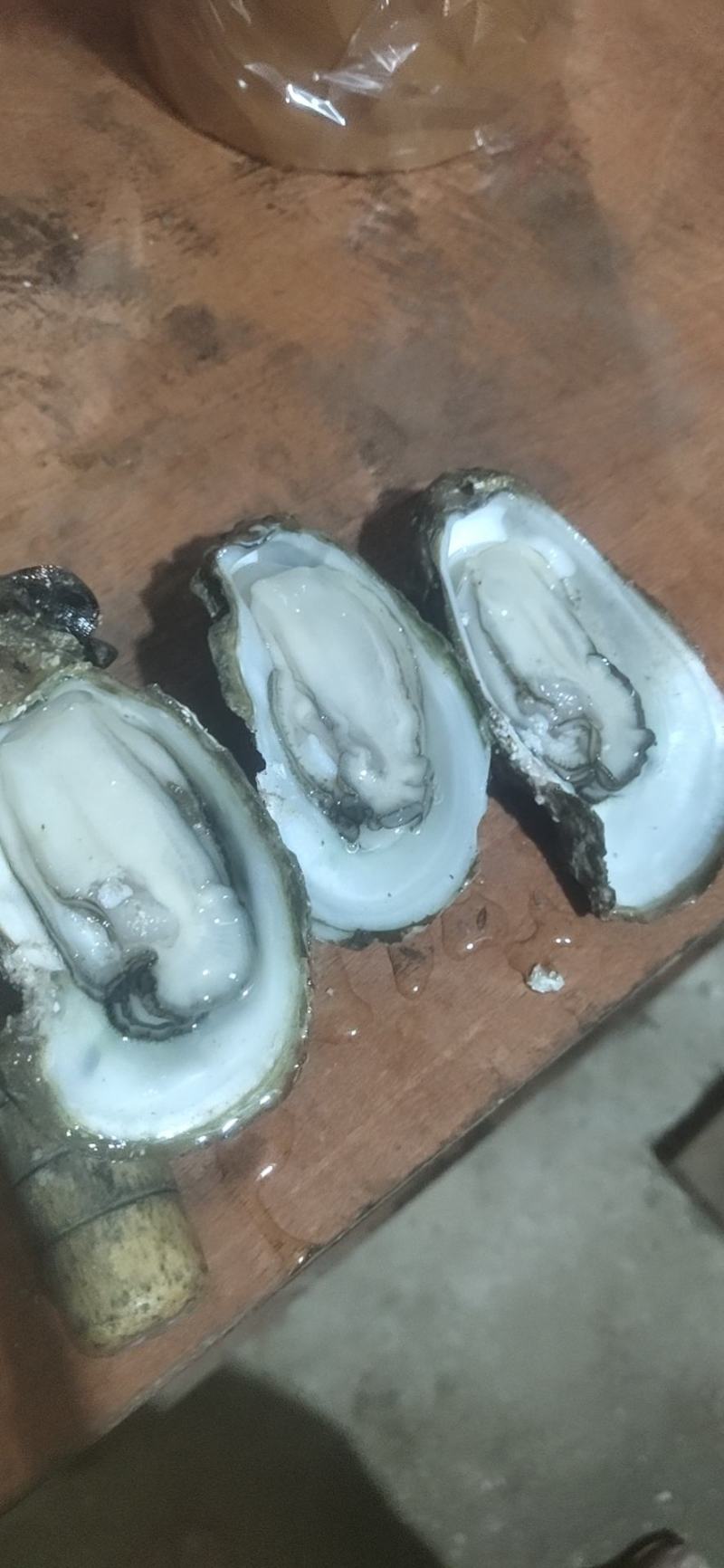 钦州生蚝牡蛎小统货