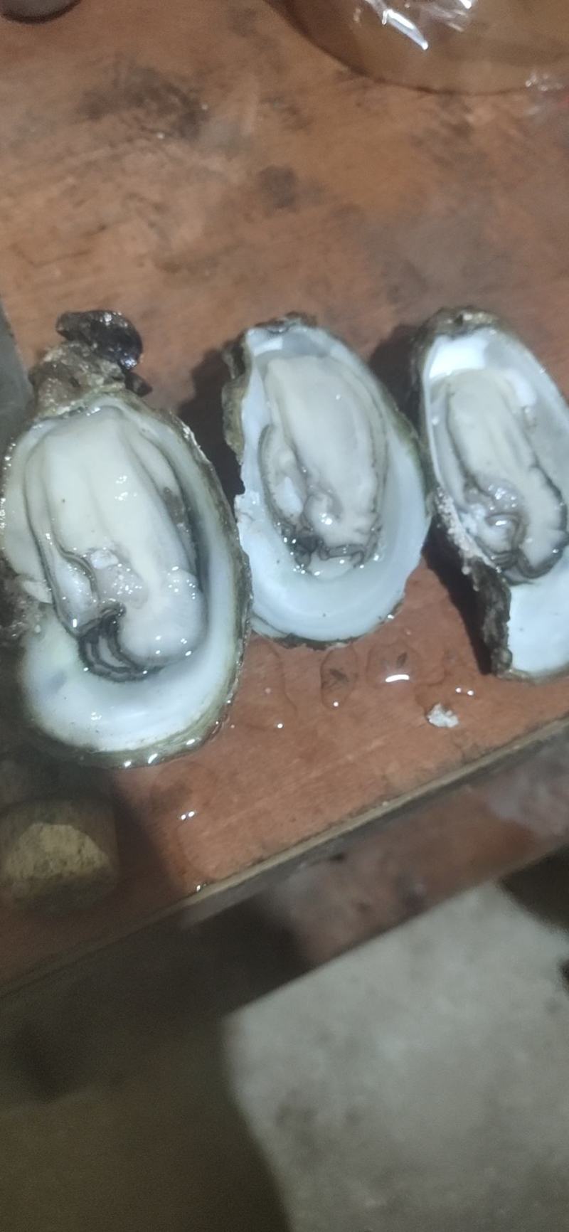 钦州生蚝牡蛎小统货