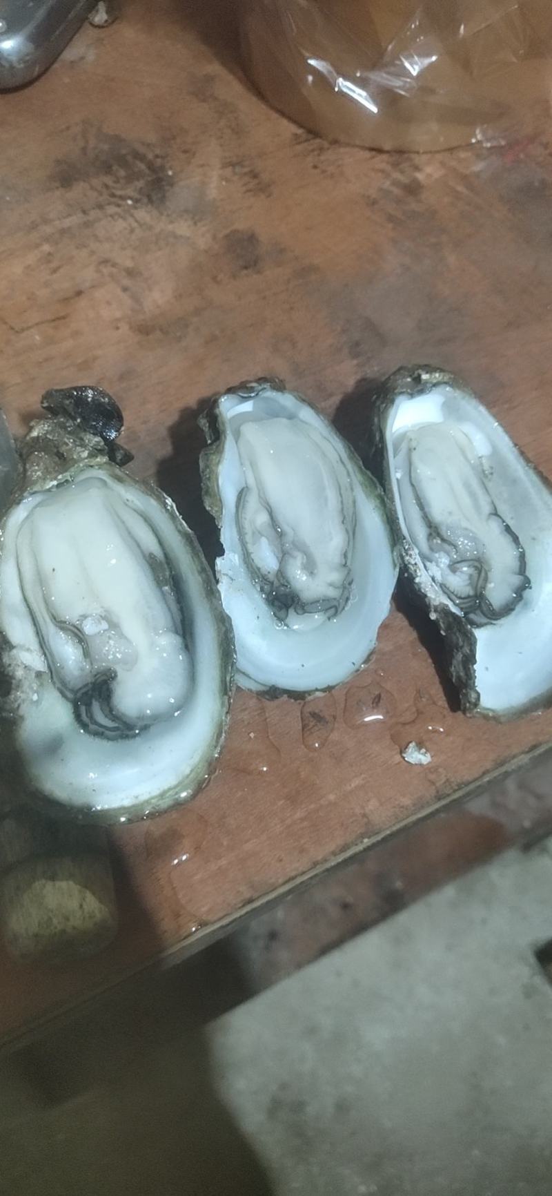 钦州生蚝牡蛎小统货