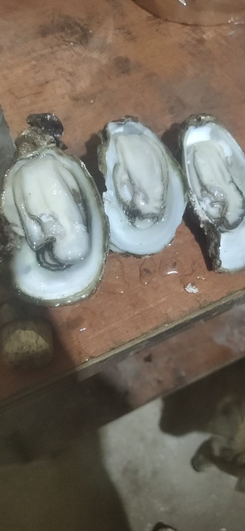 钦州生蚝牡蛎小统货