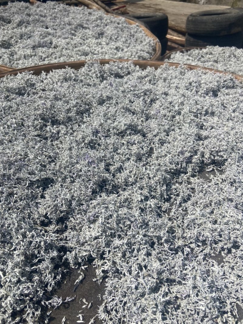 莓茶