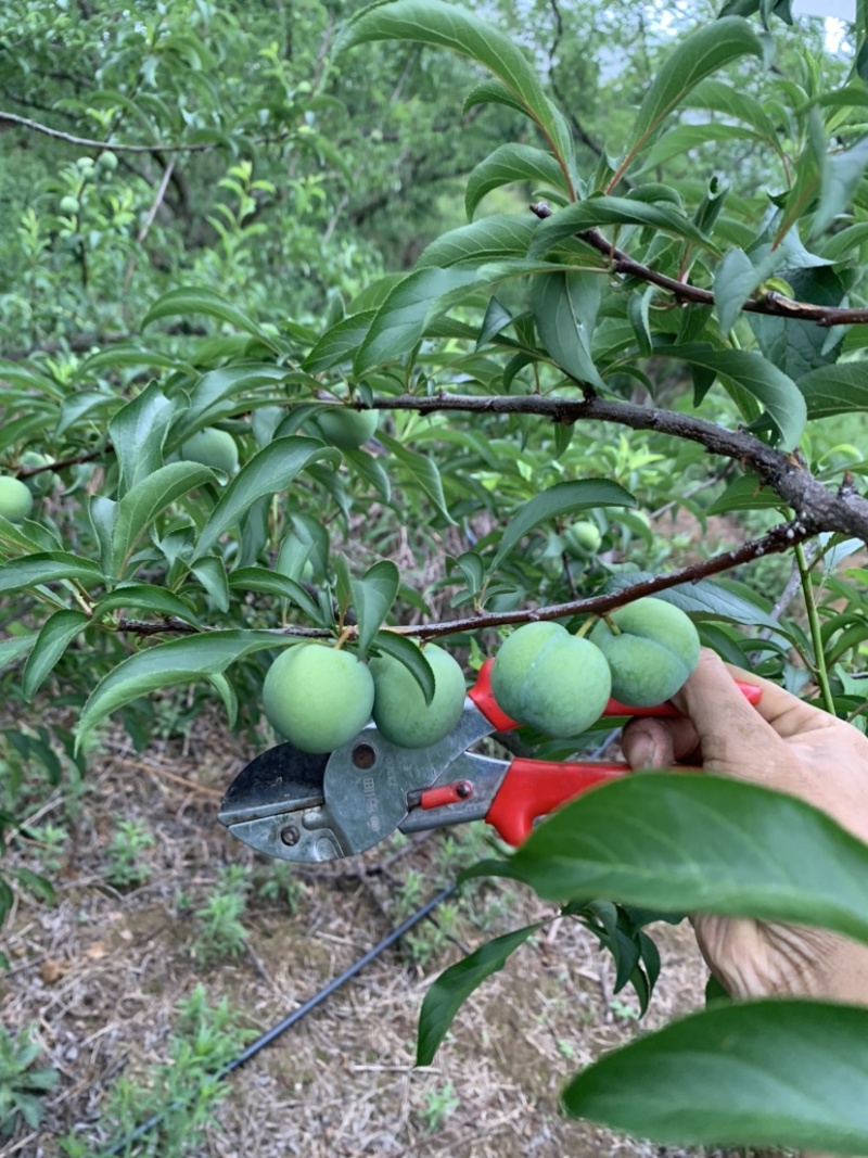 欢迎电商骚扰